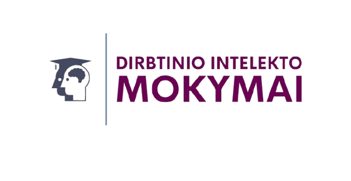 DI sprendimai verslo efektyvumui